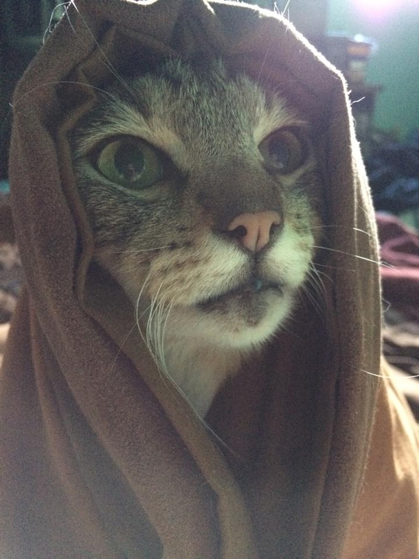 These sands are cold but Khajiit feels the warmth of your pesence