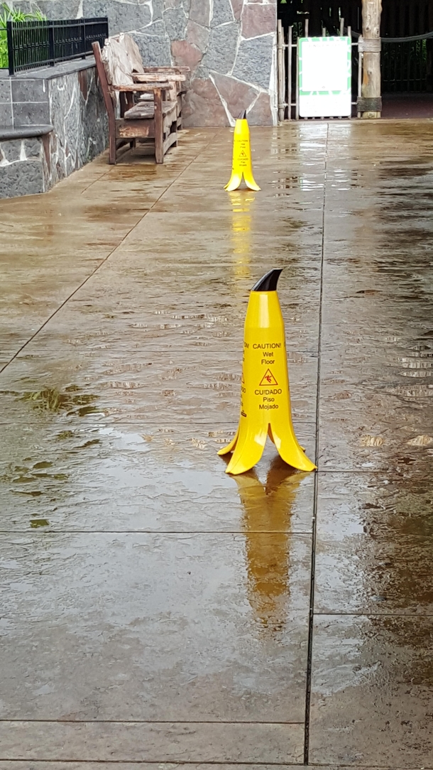 These Wet Floor Signs