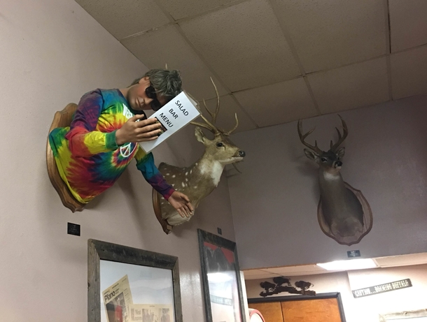 They mounted a vegan to the wall at my local butcher shop