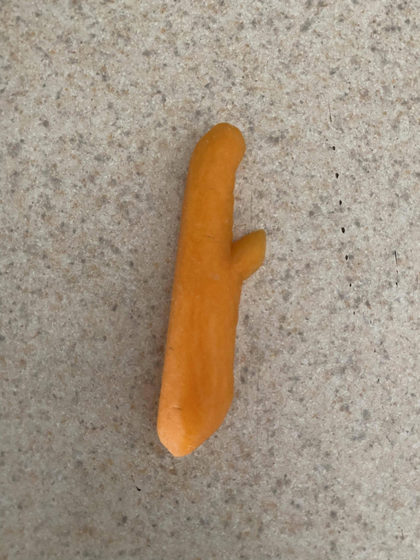 This carrot I found today brought me great pleasure