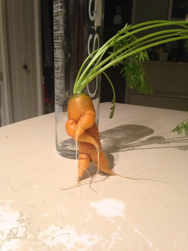 This Carrot is About to Drop a Sick Verse