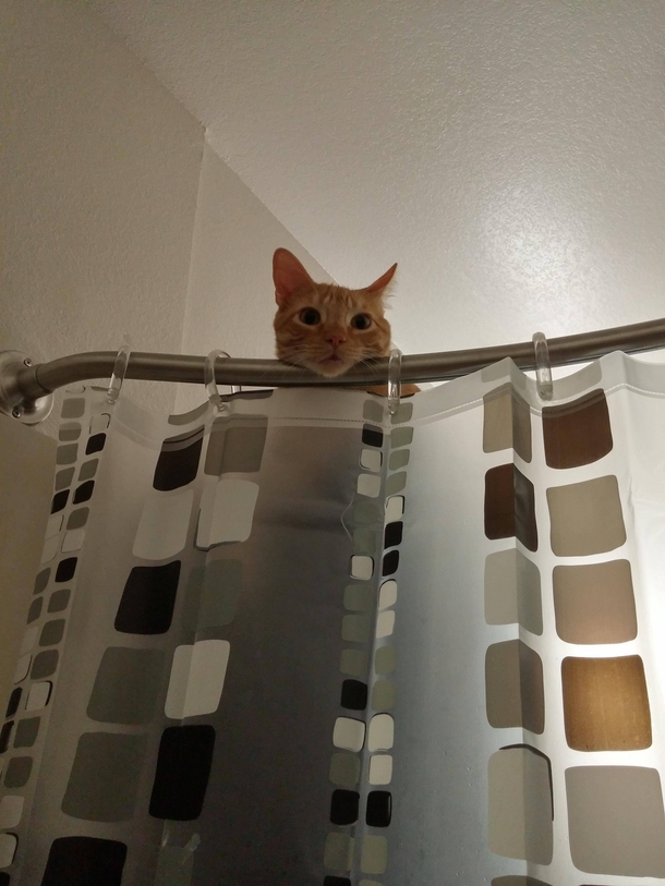 This creeper loves watching me shower