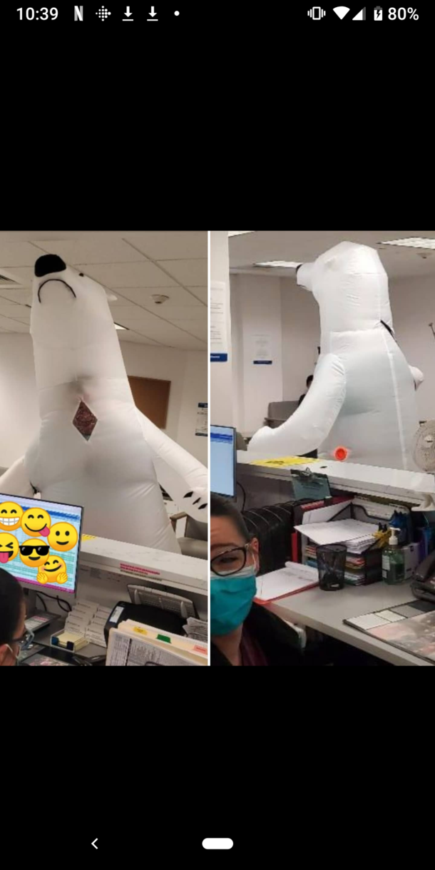 This guy didnt have a mask so he came to the orthopedist as a polar bear