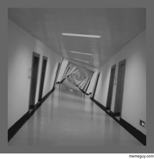 This Hallway Never Ends
