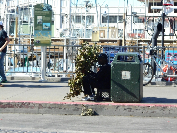 This homeless guy in San Fran was hiding behind a couple of branches and scaring people After he scared me some lady yelled he made you holla Give him a dolla