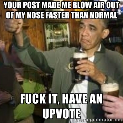 This is how I justify my upvotes on rfunny