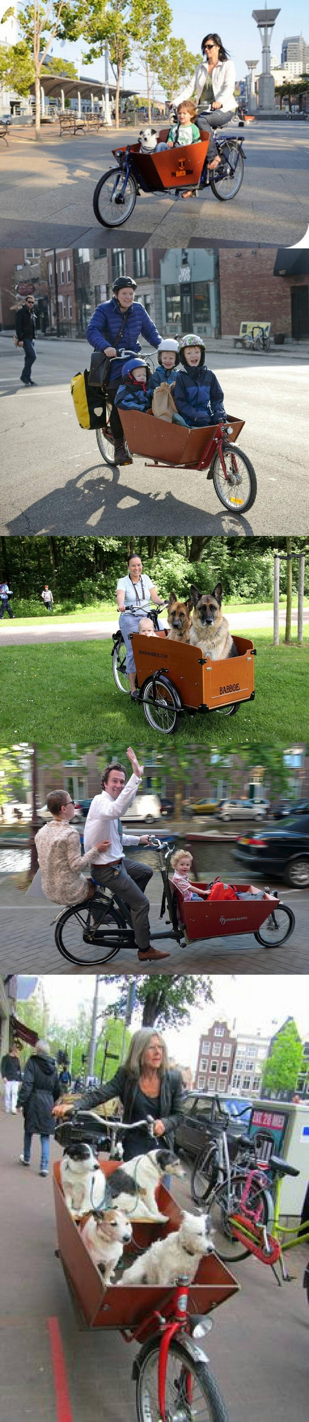 This is how they transport kids and dogs in the Netherlands