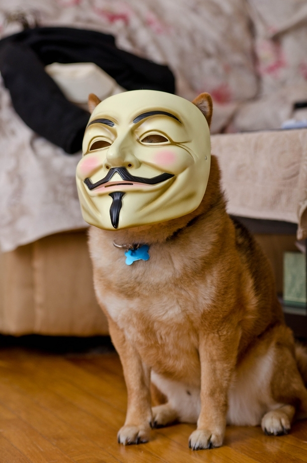 This is the hacker responsible for Reddit going offline on Saturday aka CATURDAY