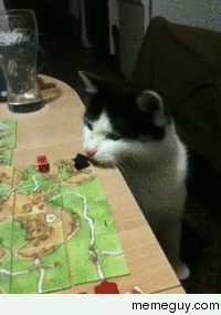 This is why we cant play board games