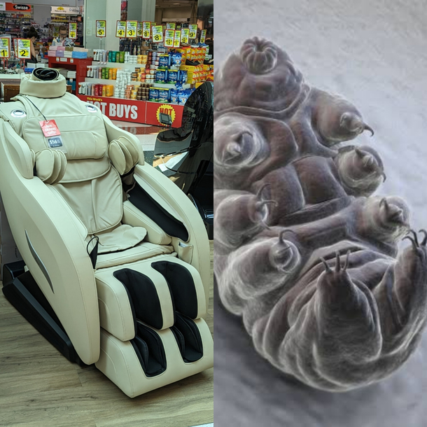This message chair looks like a reclining tardigrade