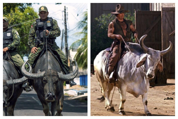 This photo of Brazilian soldiers patrolling the streets on water buffaloes reminded me of my favorite character in Blazing Saddles
