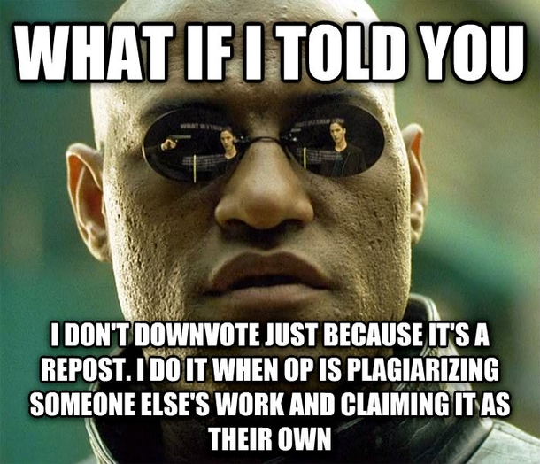 To people who complain about those that downvote reposts