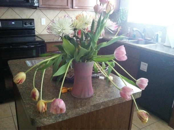 To the guy that got flowers from flowers I think tulips have a problem These are  days old from a local flower shop