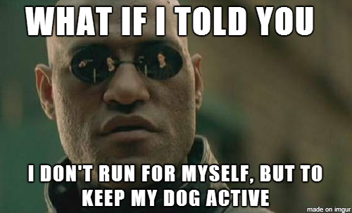 To the guy who said Id be better off running without my dog