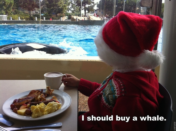 Took my son to Seaworld Pretty sure he was thinking this the whole time