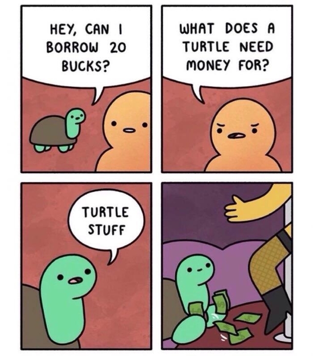 Turtle stuff