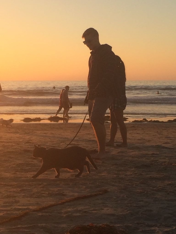 Walking his cat on the beach