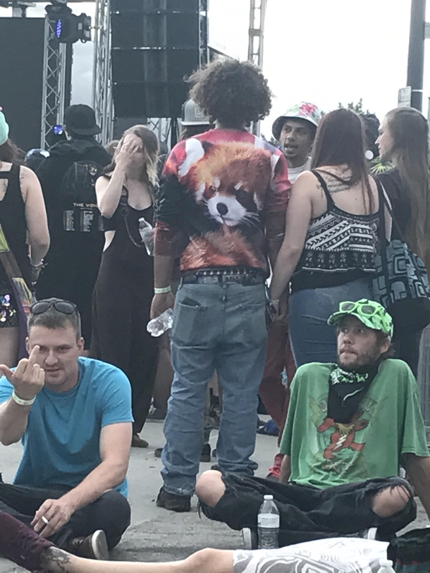 Was just trying to get a pic of the cool red panda shirt