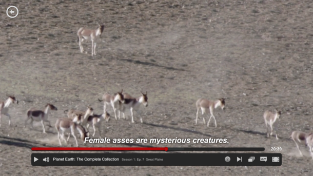 Was watching Planet Earth on Netflix when I came upon this precious stone