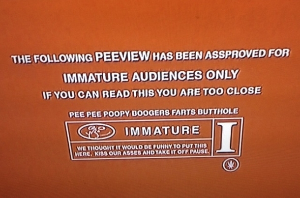 Watching Scary Movie  I finally noticed what the Movie theater rating scene says
