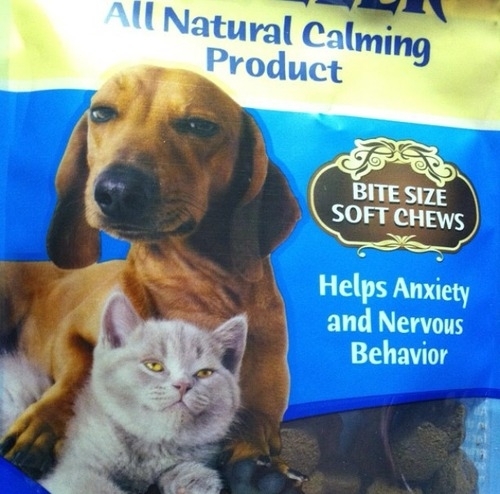 Well I guess drugs for your pets would have been more appropriate