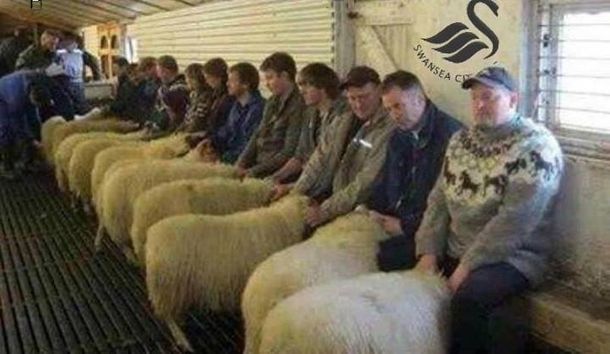 Welsh Speed Dating