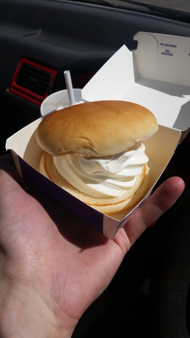 Went to McDonalds and ordered an ice-cream sandwich out of boredom They deleivered