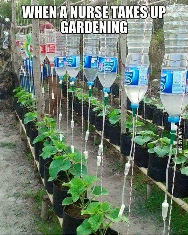 When a nurse takes up gardening