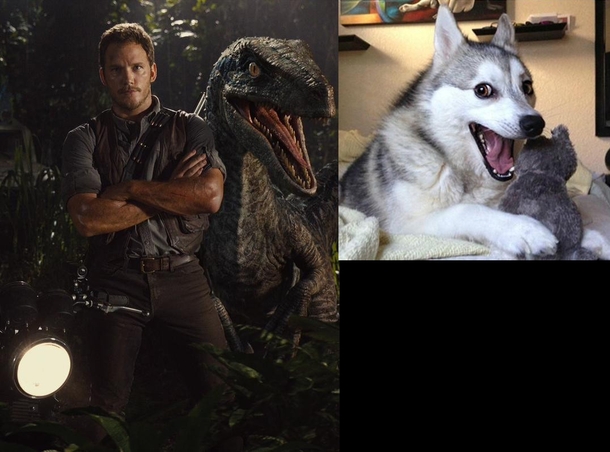 When I saw the new promotional photo for JURASSIC WORLD the raptor in the background reminded me of this meme