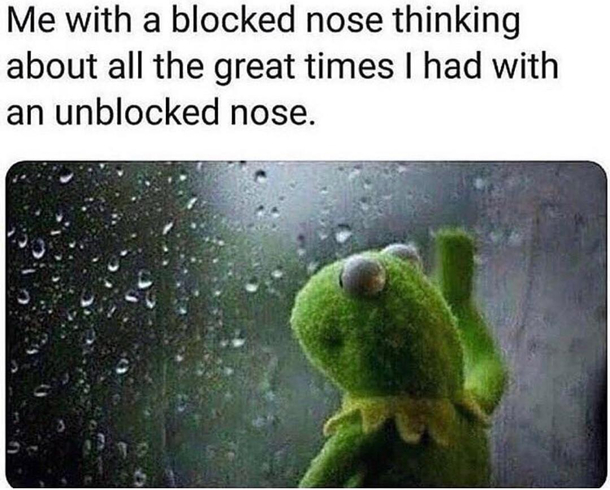When my nose is blocked all you would be hearing was a damn loud trumpet out of my nose