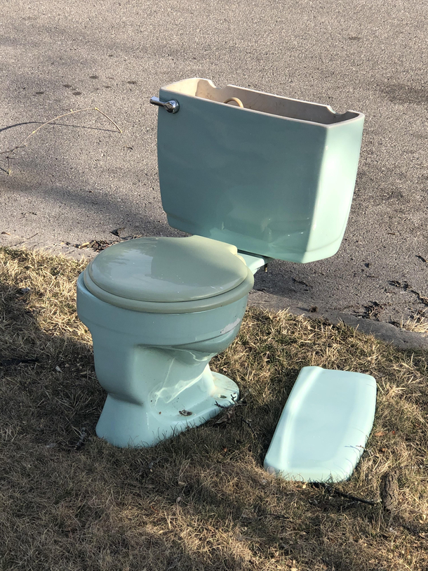 When the add said Curb Alert - Green toilet up for grabs I thought it meant eco friendly