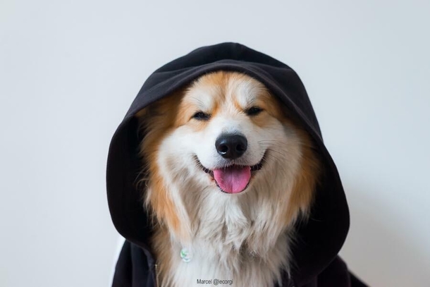 When you are on the dark side but still a good boy