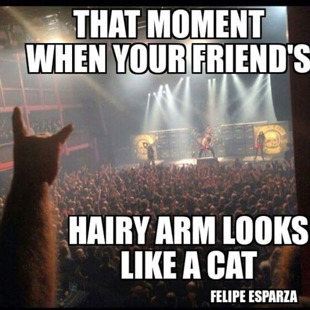 When your friends hairy arm looks like a cat