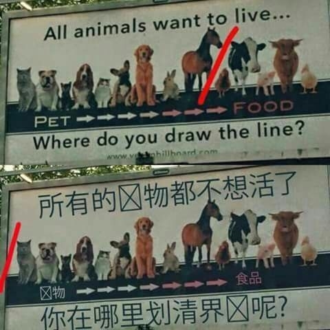 Where do you draw the line