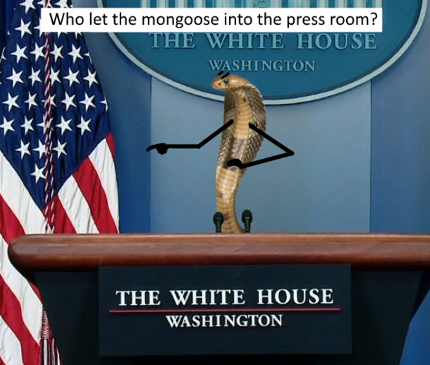 White House Press Snekretary
