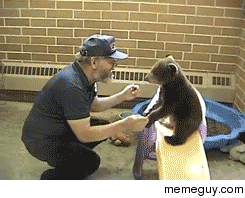 Why bears dont trust people