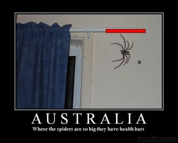 Why Im never going to Australia
