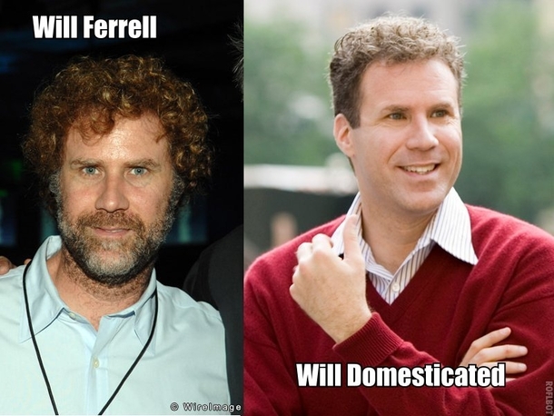 Will Ferrell 