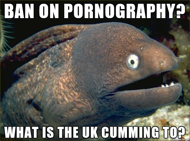 With all this talk about the UK banning pornography