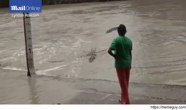 Woman scares off crocodile with a flip flop