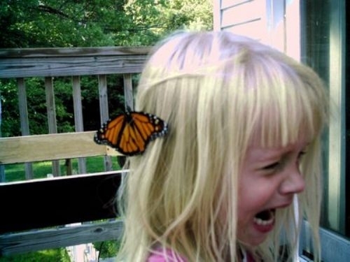 You appreciate that butterfly on your head you little bitch vintage white girl bloggers would kill for a picture like that