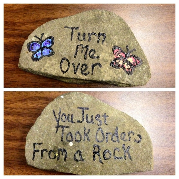 You Just Took Orders From A Rock