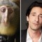 Pic #1 - Animals That Are Celebrity Look-alikes