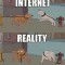 Pic #1 - Internet vs Reality