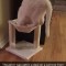 Pic #1 - My cat tried his damnedest to fit in this deceivingly undersized cat tree from Groupon