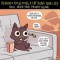 Pic #1 -  Ways Getting A Cat Ruins Your Life 