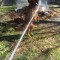 Pic #2 - Goldens make the worst firedogs