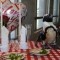 Pic #2 - Penguin couple celebrates nd Valentines Day