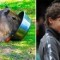 Pic #4 - Capybaras That Look Like Rafael Nadal