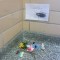 Pic #4 - There has been a dead cockroach in the anthropology buildings stairwell for at least two weeks Some enterprising person has now made her a little shrine